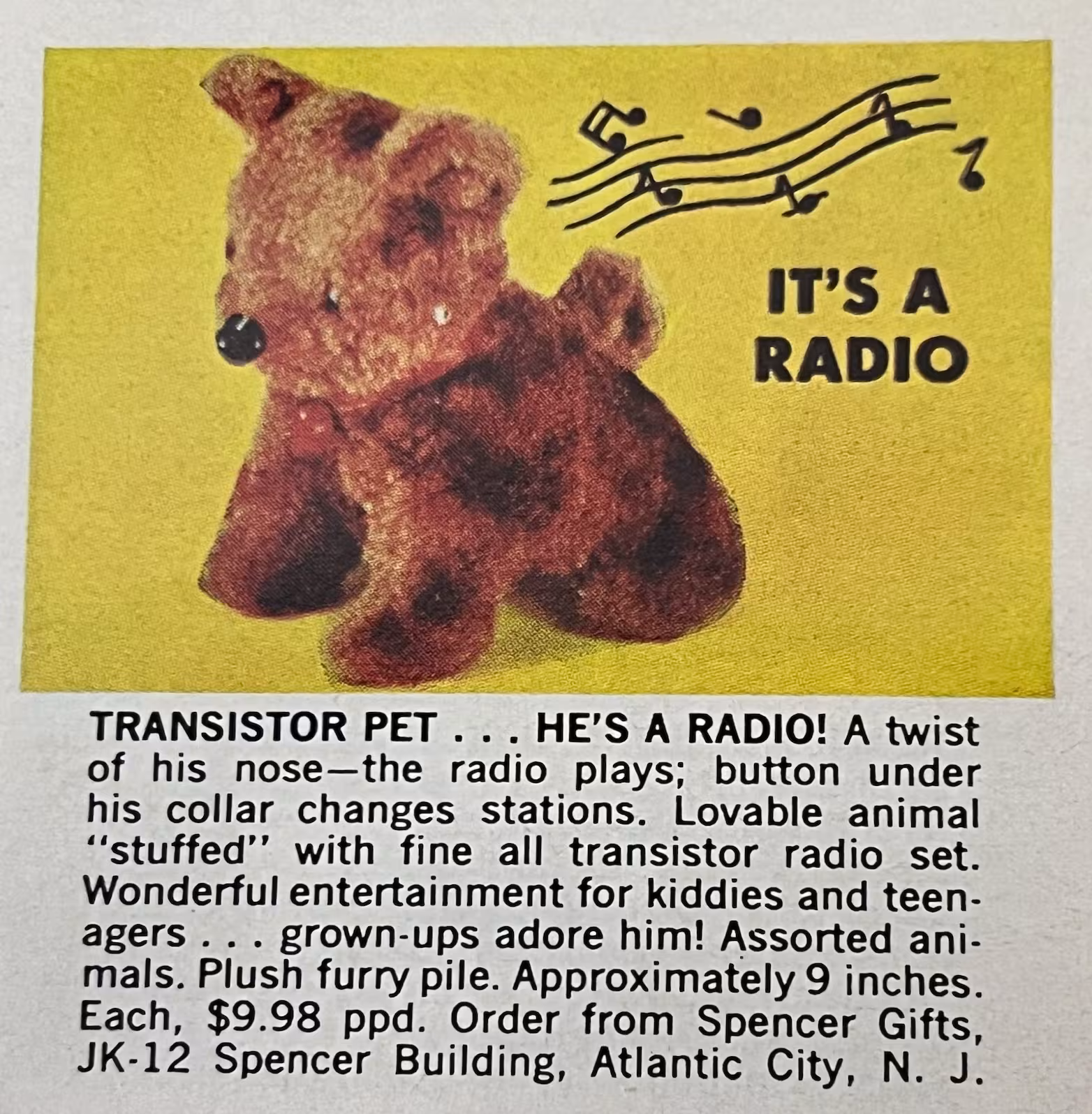 Transistor Pet, 1964
