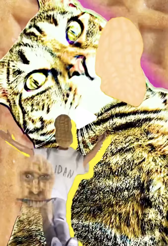 Nutter Butter TikTok