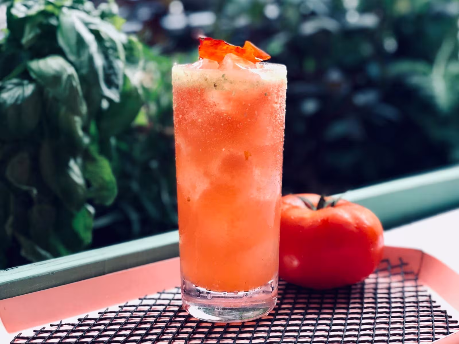 Tom Tomato Collins