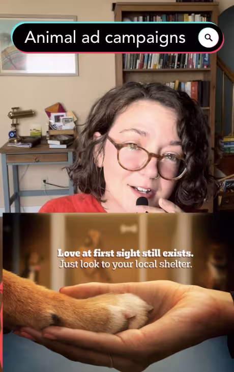 TDC TikTok Animal Ad Campaigns