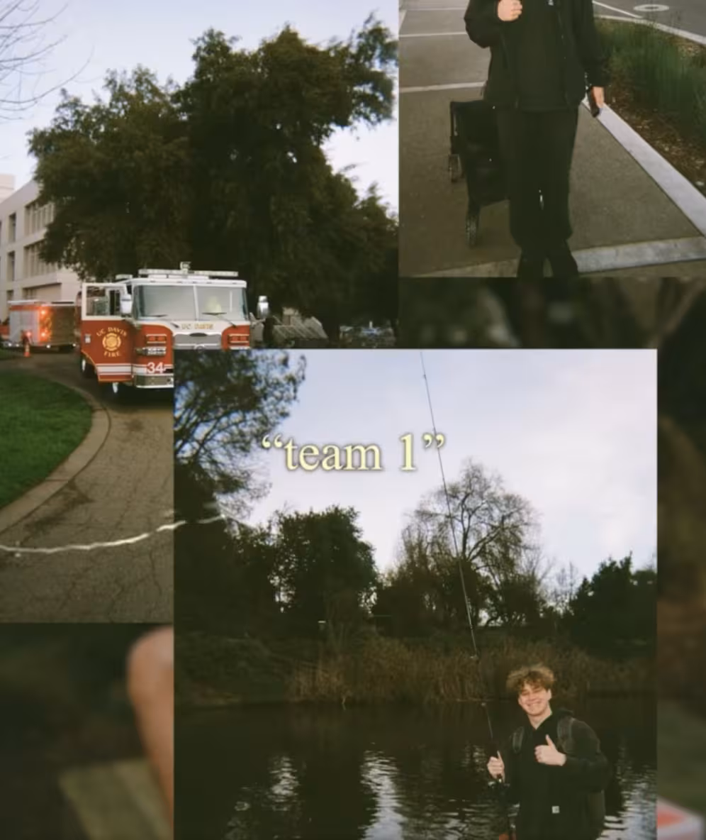 A series of disposable camera photos 