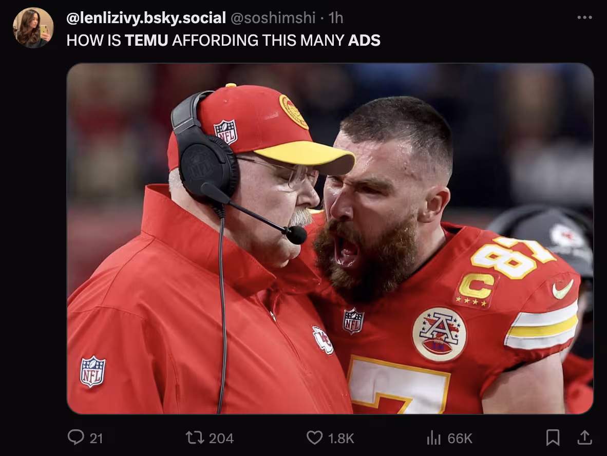 How is Temu affording this many ads?