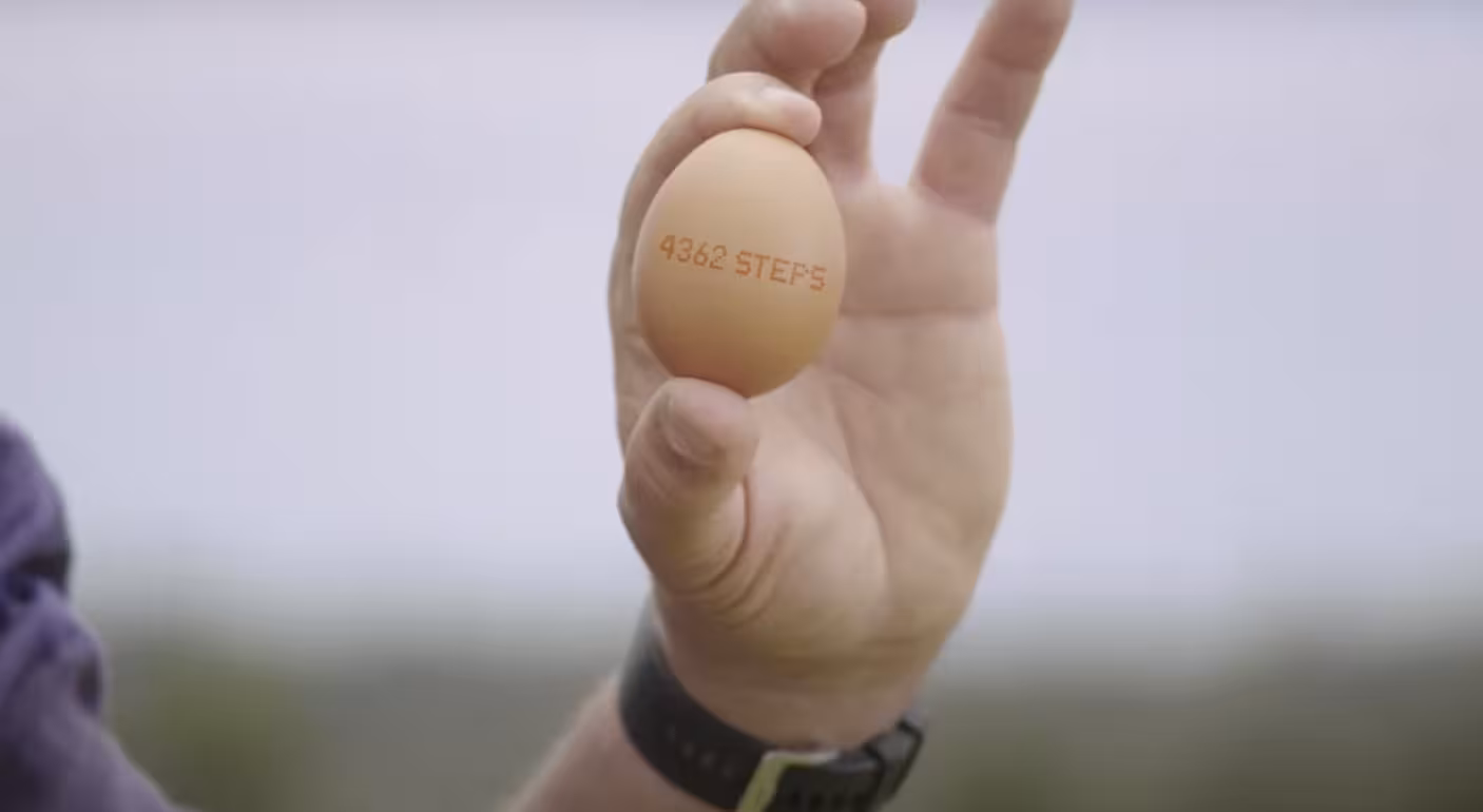 Honest Eggs Co