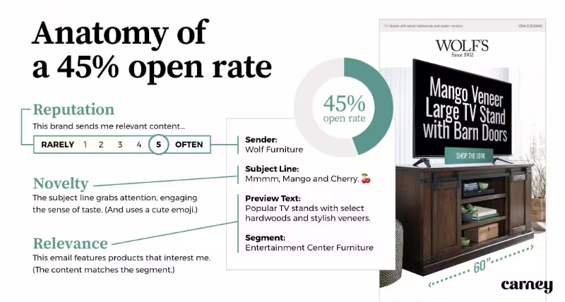 Anatomy of a 45% open rate: Reputation, Novelty, and Relevance over time produced a 45% open rate on a retail email campaign for Wolf's.