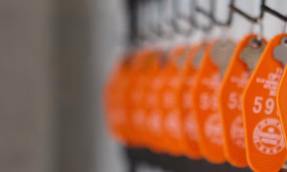 website accesibility