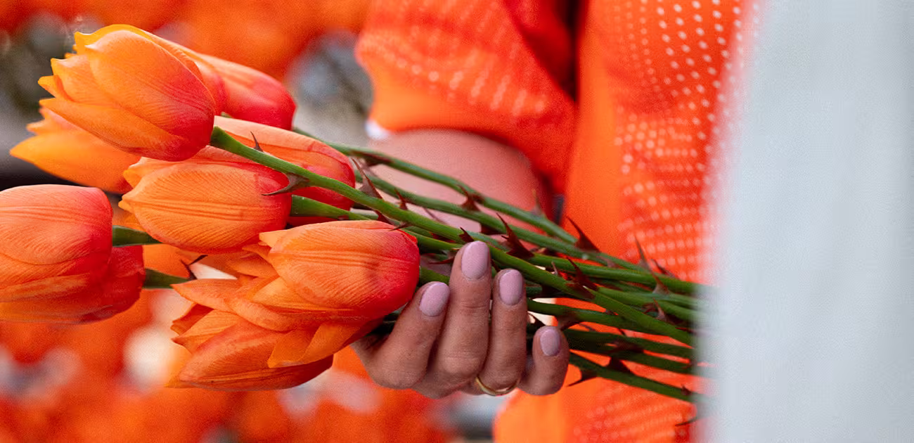 Not Every Tulip Has Its Thorns