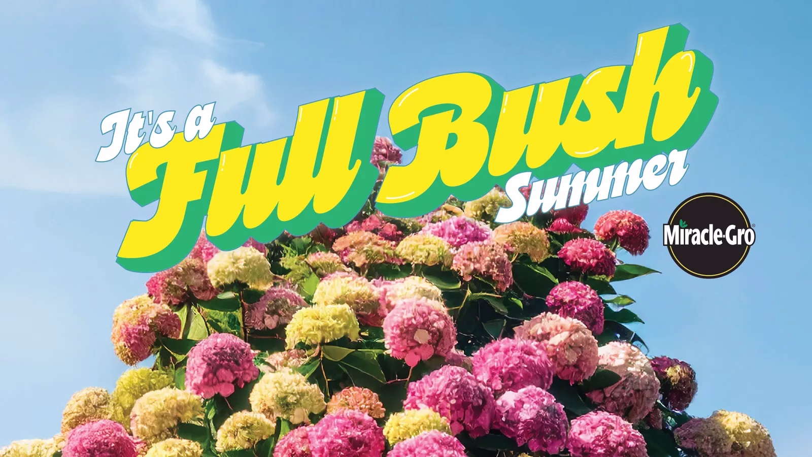 Full Bush Summer